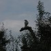 mini-IMG_1298